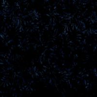 ttTONGA-B2182 MIDNIGHT